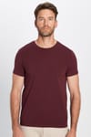 Erkek Slim Fit Dar Kesim Pamuklu Yumuşak Dokulu Esnek Kumaş Düz Basic Bordo Bisiklet Yaka Tişört