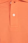 Slim Fit Düz Polo Yaka Erkek T-Shirt
