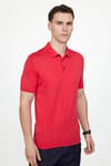 Erkek Polo Yaka Slim Fit Örme Triko Pamuklu Tişört