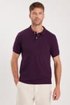 Erkek 5'li Paket Siyah-Taş-Gri-Mor-Beyaz Slim Fit Dar Kesim Pamuklu Düz Pike Polo Yaka Tişört