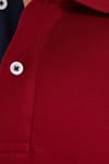 Erkek Slim Fit Dar Kesim %100 Pamuk Yumuşak Dokulu Serin Tutan Kumaş Düz Pike Bordo Polo Yaka Tişört