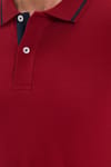 Erkek Slim Fit Dar Kesim %100 Pamuk Yumuşak Dokulu Serin Tutan Kumaş Düz Pike Bordo Polo Yaka Tişört