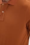 Erkek Slim Fit Dar Kesim Premium Seri %100 Pamuk Yumuşak Dokulu Merserize Kahverengi Polo Yaka Tişört 