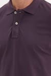 Erkek Slim Fit Dar Kesim Premium Seri %100 Pamuk Yumuşak Dokulu Merserize Mor Polo Yaka Tişört 