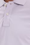 Erkek Slim Fit Dar Kesim Premium Seri %100 Pamuk Yumuşak Dokulu Merserize Lila Polo Yaka Tişört 
