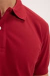 Erkek Slim Fit Dar Kesim %100 Pamuk Kısa Kollu Polo Yaka Bordo Tişört