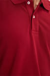 Erkek Slim Fit Dar Kesim %100 Pamuk Kısa Kollu Polo Yaka Bordo Tişört