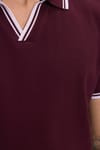 Erkek Slim Fit Dar Kesim %100 Pamuklu Çizgili Detaylı V Yaka Bordo Polo Yaka Tişört