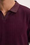 Erkek Slim Fit Dar Kesim Pamuklu Kısa Kollu Çizgili Bordo Polo V Yaka Tişört