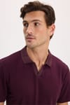 Erkek Slim Fit Dar Kesim Pamuklu Kısa Kollu Çizgili Bordo Polo V Yaka Tişört