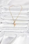 316L Çelik Zincir Gold Renk Flamingo Model Kadın Kolye