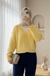 Kabartma Örgülü Düğmeli Triko Hırka  -Açık Sarı-Hırka-109-0260-R75