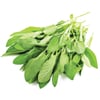 Adaçayı (25 gr) Greenada