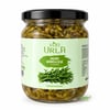 Deniz Börülcesi (425 cc) Von Urla