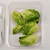 Mini Yedikule , Yeşil (4'lü paket)  Medel Greens