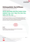 Organik Naturel Sızma Zeytinyağı Dorica Cam Şişe (250 ml) Kilizi