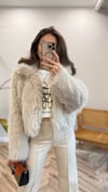 BEJ 1134 PELUŞ MONT