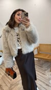 BEJ 1134 PELUŞ MONT