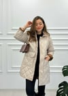BEJ 15137 MONT 