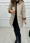 BEJ 15137 MONT 