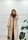 BEJ 15148 MONT 