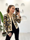 BEJ LEOPAR HIRKA