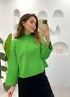 ELMA YEŞİLİ