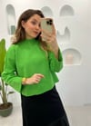 ELMA YEŞİLİ