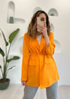 MANGO BELDEN BÜZGÜLÜ CUPRA CEKET 