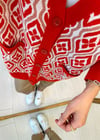 NAR ÇİÇEĞİ 8743 CEP DETAY SİMLİ HIRKA 