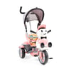 Baby 2 Go Berry 3 Teker İtmeli Bisiklet Pembe 25815