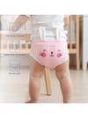 Babyjem Soft Alıştırma Külodu Pembe Art-244