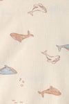 Carter's Erkek Bebek Layette 3'lü Body Pantolon Takım Mavi 1V252610