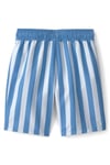 Carter's Erkek Çocuk Çizgili Şort Mayo Mavi 3U611110