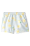 Carter's Küçük Erkek Çocuk Şort Mayo Açık Mavi 2U654610