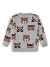 Denokids Erkek Çocuk Ayı Rakun Triko Kazak Gri CFF-25S1-065