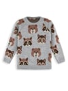 Denokids Erkek Çocuk Ayı Rakun Triko Kazak Gri CFF-25S1-065