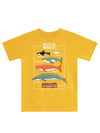 Denokids Erkek Çocuk Big Whales T-shirt Kapri Takım MS-24Y1-010