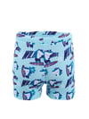 Denokids Erkek Çocuk Shark Şort Mayo CFF-23Y2-009