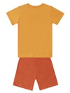 Denokids Erkek Çocuk Super Tiger T-shirt Şort Takım CFF-24Y1-031