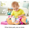 Fisher Price LNL Eğitici Köpekciğin Kız Kardeşi Mtl-FPP83