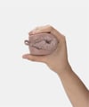 İgor Kız Çocuk Homie Rizo Ev Ayakkabısı Maquillaje W10355-197