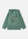 Mayoral Erkek Çocuk Baskılı Kapüşonlu Sweatshirt Yeşil 4407
