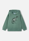Mayoral Erkek Çocuk Baskılı Kapüşonlu Sweatshirt Yeşil 4407