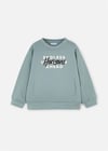 Mayoral Erkek Çocuk Baskılı Sweatshirt Mint 4408