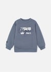 Mayoral Erkek Çocuk Baskılı Sweatshirt Gri 4452