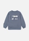 Mayoral Erkek Çocuk Baskılı Sweatshirt Gri 4452