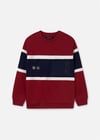 Mayoral Erkek Çocuk Sweat Bordo 7453