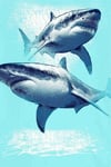 Oshkosh Erkek Çocuk Güneş Koruyucu Mayo 3Q521910