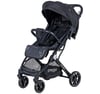 Prego Aria Plus Kabin Boy Bebek Arabası Siyah 2037